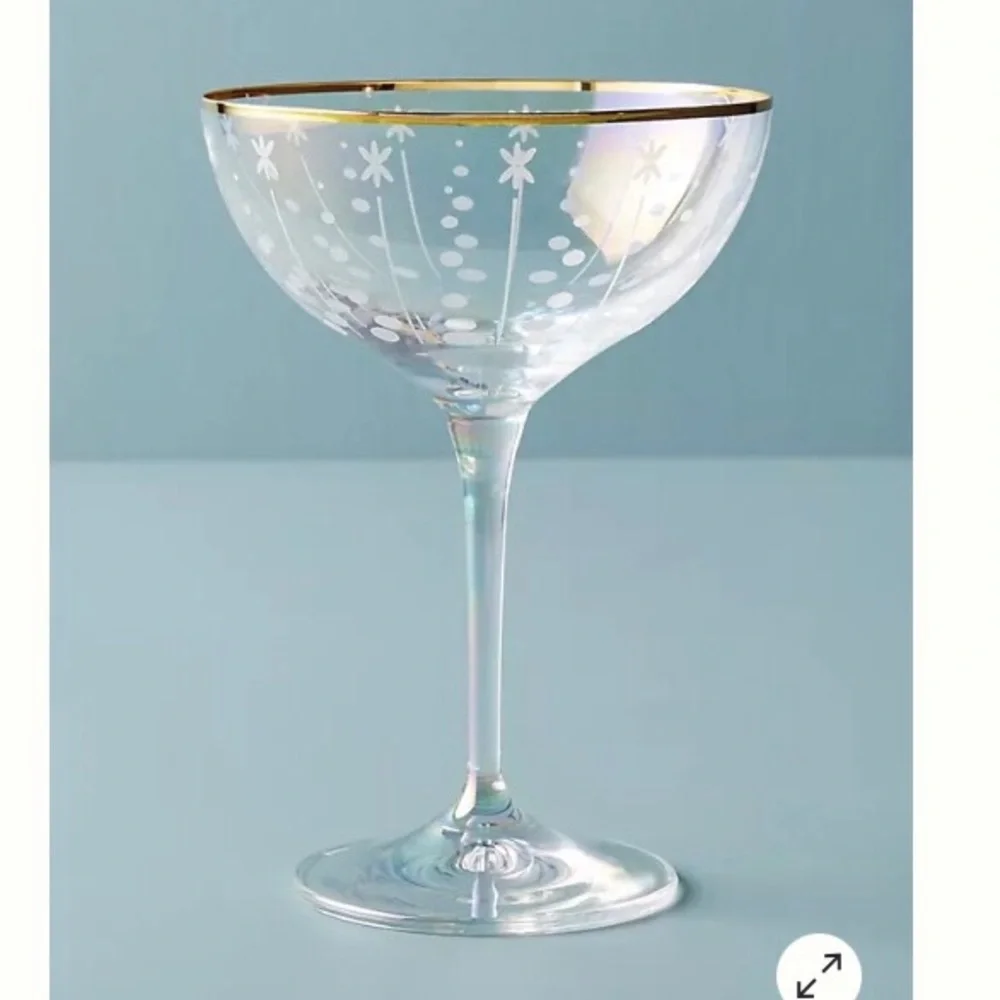 Anthropologie Czech Glass Coupe Wine Champagne Cocktail Glass New in Box